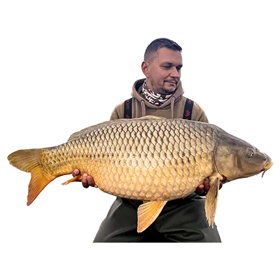 carp catch